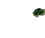 turtle_angry[1].gif